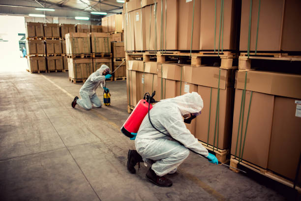 Best Flea Control Services  in Rosedale, LA
