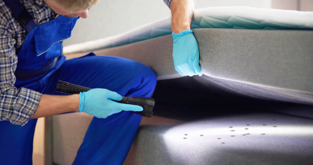 Best Flea Control Services  in Rosedale, LA